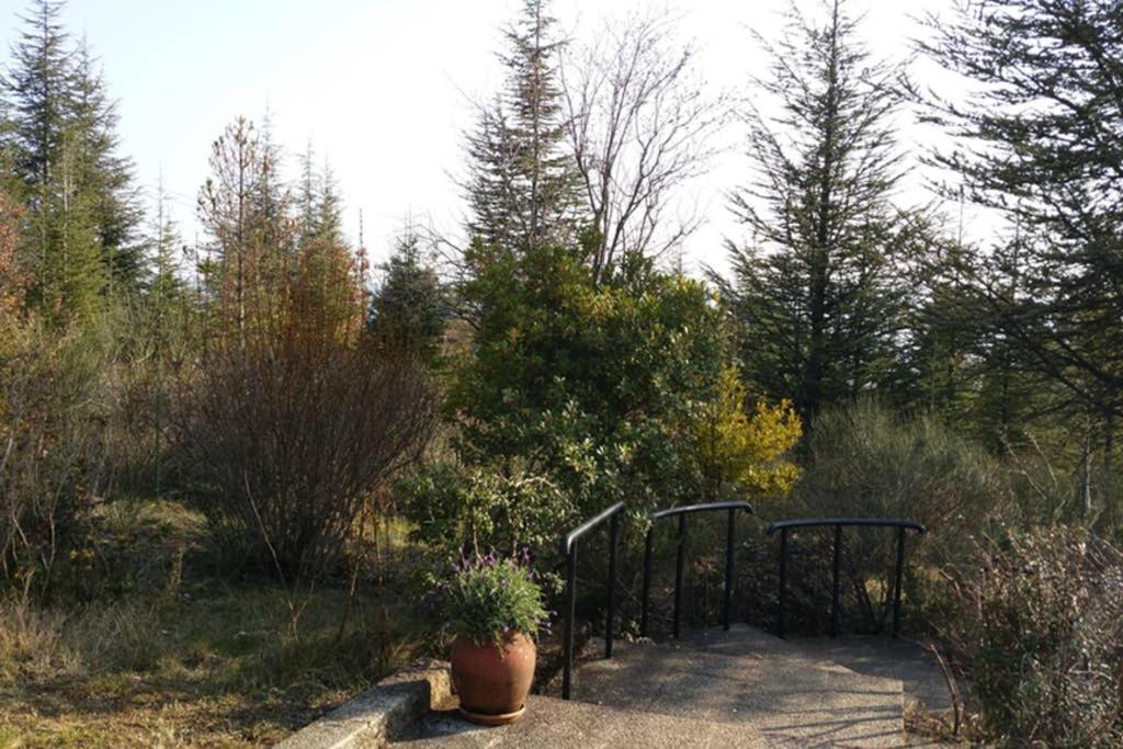 Villa La Lurette, Appartement Et Studio Saint-Étienne-les-Orgues Exterior foto