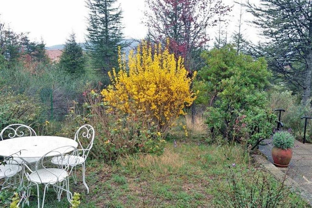 Villa La Lurette, Appartement Et Studio Saint-Étienne-les-Orgues Exterior foto
